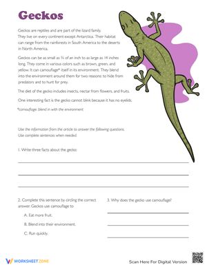 Discover Amazing Facts About Geckos