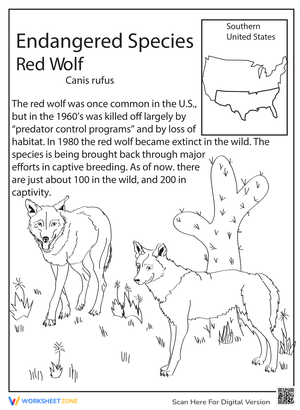 Learn About Endangered Species: Red Wolf