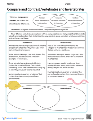 Compare and Contrast Vertebrates and Invertebrates