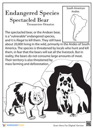 Learn About the Spectacled Bear