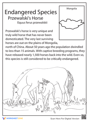 Discover Przewalski's Horse
