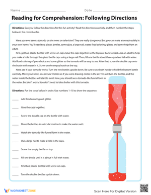 Reading Comprehension Directions Worksheet