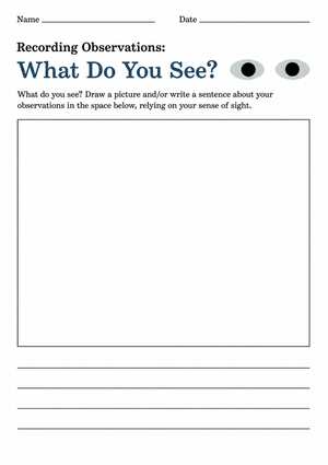 Visual Perception Worksheet | Grade K-2 Essential