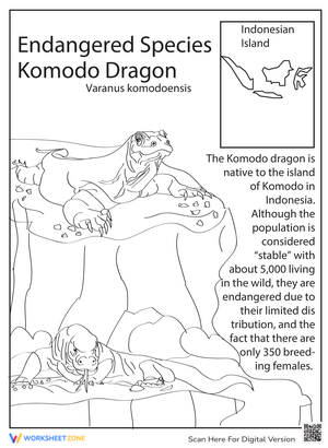 All About Komodo Dragon