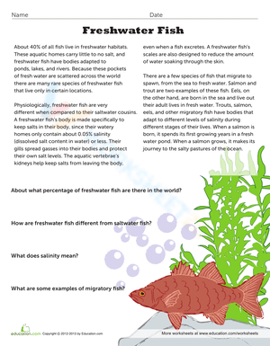Freshwater Fish Worksheet