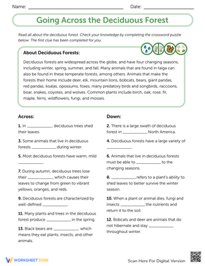 Deciduous Forest Worksheet
