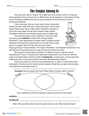 The Fungus Among Us Worksheet