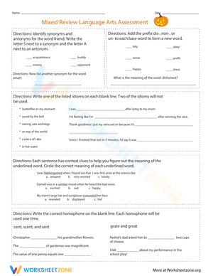 Mixed Review Language Arts Assessment