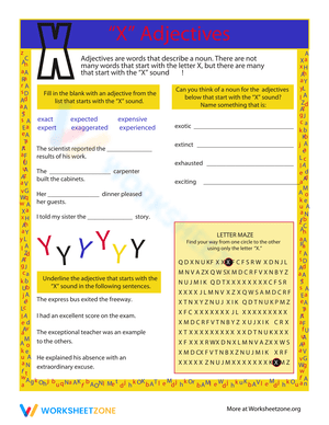 Adjectives Starting with Letter X