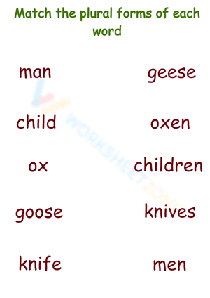 Activity Book Plural