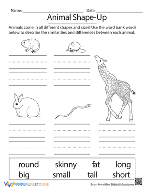 Animal Shape Up: Geometry Fun