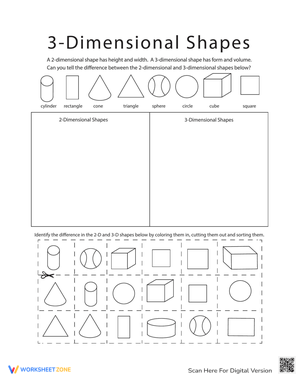 Identify 2D and 3D Shapes Worksheet