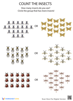 Count the Insects Counting Practice