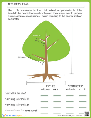 Learn Measuring Trees Worksheet