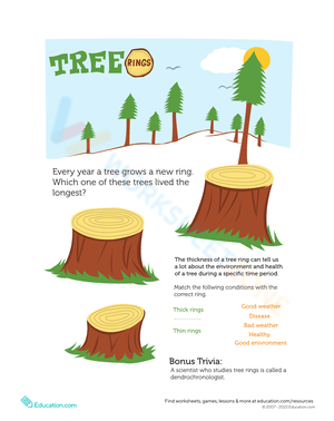 Count the Tree Rings