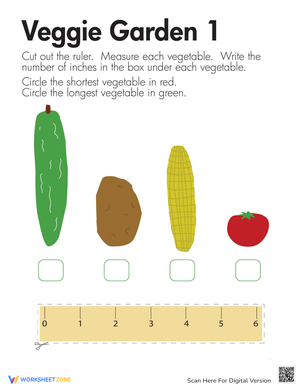 Veggie Measurement Practice