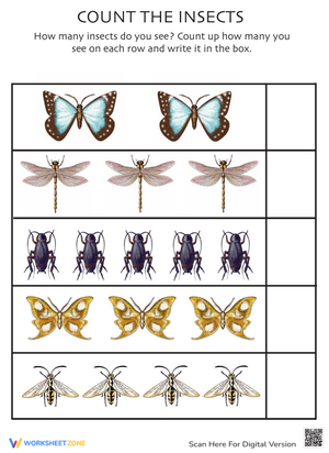 Count the Insects Worksheet