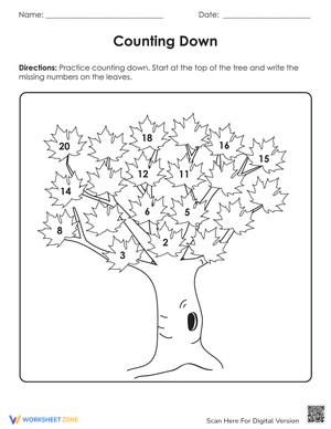 Counting Down Worksheet