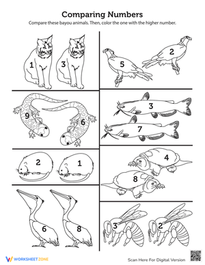 Animal Comparison: Comparing Bayou Animals