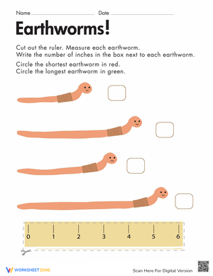 Worms Measurement: First Grade Measurement