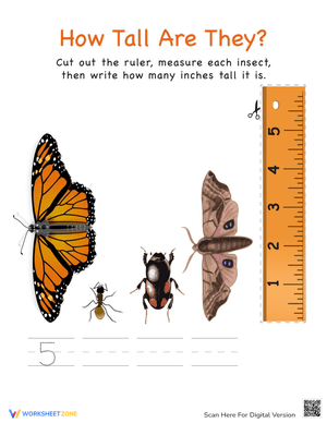 Tall Insects Worksheet for Comparison