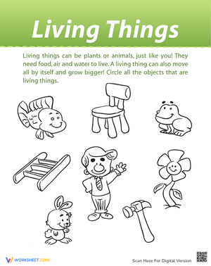 Identify Living Things Worksheet