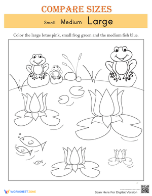 Comparing Sizes: Visual Discrimination Practice