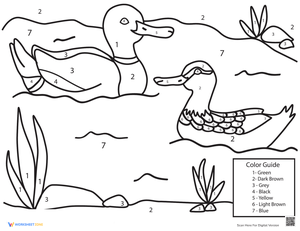 Duck Pond Color by Number Activity