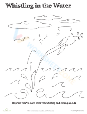 Connect the Dots: Talking Dolphin