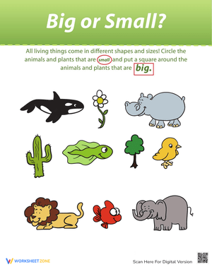 Big or Small: A Size Comparison Worksheet