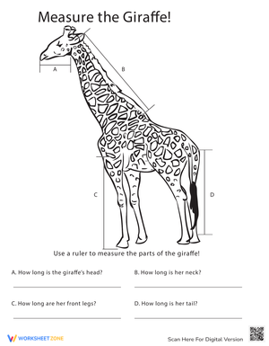 Measure Length: An Interactive Measurement Tool