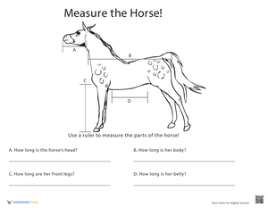 Practice to Measure Length with Worksheet