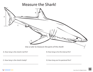 Improve Measurement Skills: Measure Length