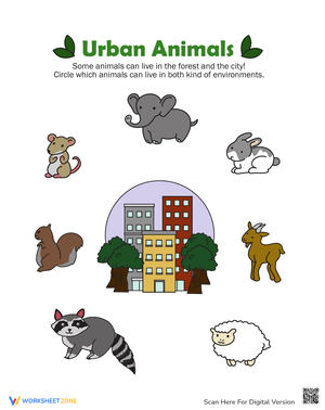 Discover Urban Animals with Fun Worksheet