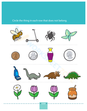 Find the Different Item: Pattern Recognition Worksheet