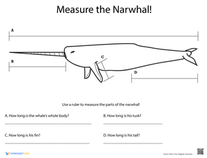 Practice Measuring Length