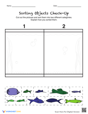Sorting Objects: Check-Up Worksheet
