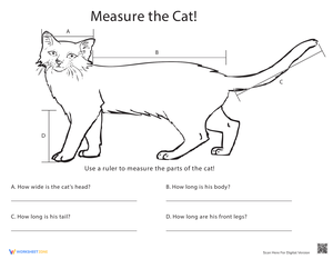 Measure Length - Math Worksheet