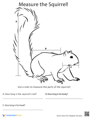 Measure Length Worksheet