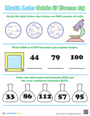 Odds or Evens Number Identification
