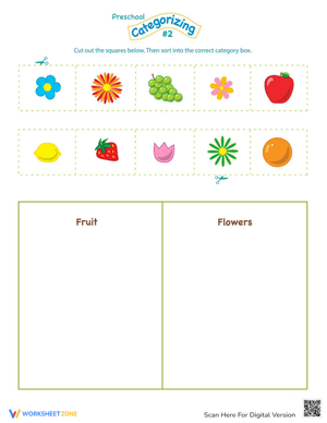 Ready Reading: Categorizing Worksheet