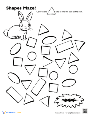 Shapes Maze