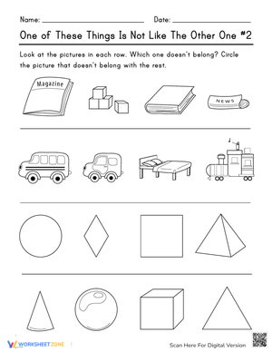 Identify the Odd One Out