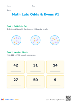 Printable Odds and Evens Worksheet | Grade 1 Math Lab
