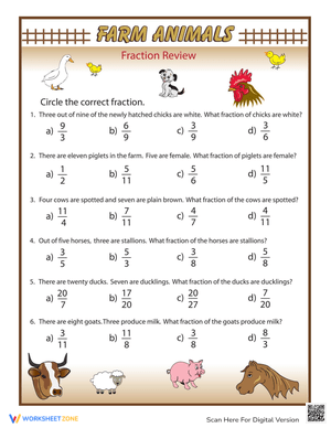 Fraction Fundamentals Practice Test Worksheet
