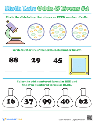 Odds or Evens: Math Fun Worksheet