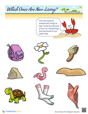 Identifying Living and Non-Living Things Worksheet