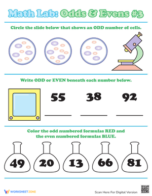 Identifying Odds or Evens Numbers Worksheet