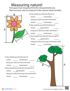 Estimating Length Measurement Practice Worksheet