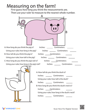 Estimating Length Worksheet: Measurement Skills